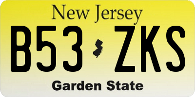 NJ license plate B53ZKS