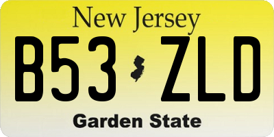 NJ license plate B53ZLD