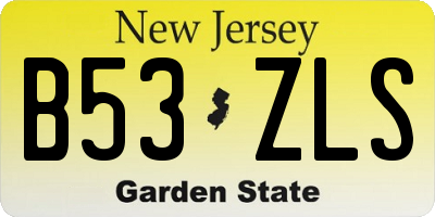 NJ license plate B53ZLS