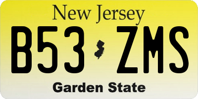 NJ license plate B53ZMS