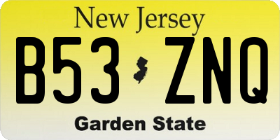 NJ license plate B53ZNQ