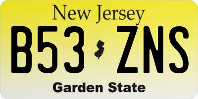 NJ license plate B53ZNS