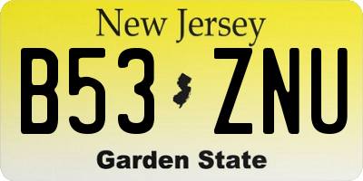 NJ license plate B53ZNU