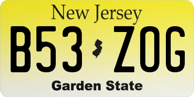NJ license plate B53ZOG