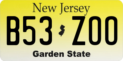 NJ license plate B53ZOO