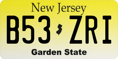 NJ license plate B53ZRI