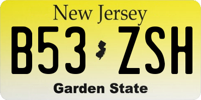 NJ license plate B53ZSH