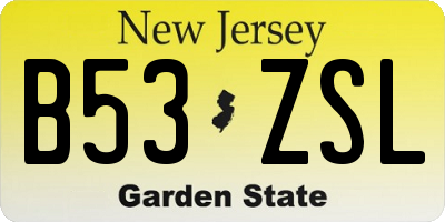 NJ license plate B53ZSL