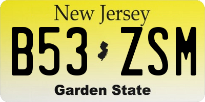NJ license plate B53ZSM