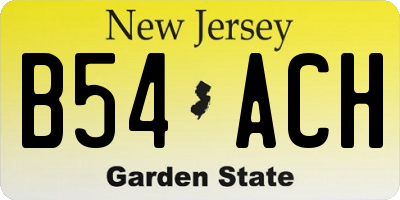 NJ license plate B54ACH