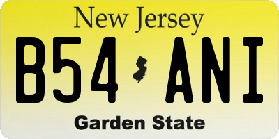NJ license plate B54ANI