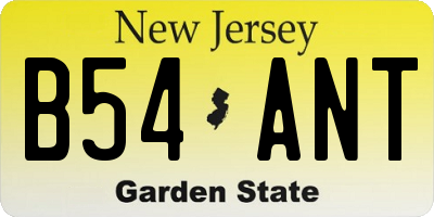 NJ license plate B54ANT