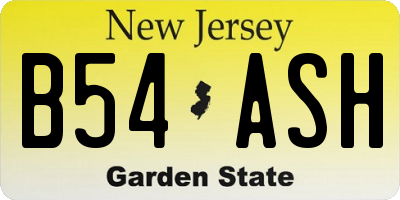 NJ license plate B54ASH