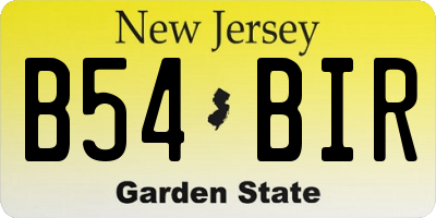 NJ license plate B54BIR