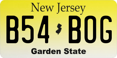 NJ license plate B54BOG