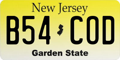 NJ license plate B54COD