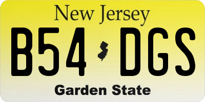 NJ license plate B54DGS