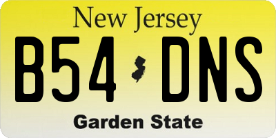 NJ license plate B54DNS