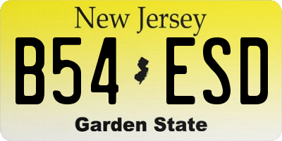 NJ license plate B54ESD