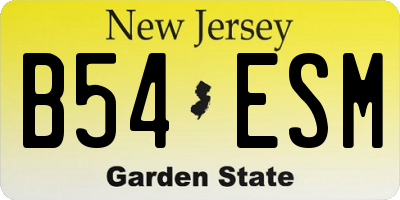 NJ license plate B54ESM
