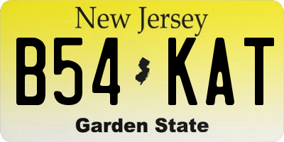NJ license plate B54KAT