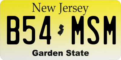 NJ license plate B54MSM