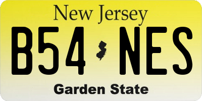 NJ license plate B54NES