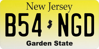 NJ license plate B54NGD