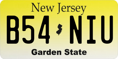 NJ license plate B54NIU