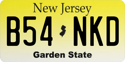 NJ license plate B54NKD