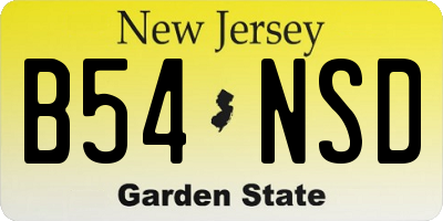 NJ license plate B54NSD