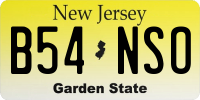 NJ license plate B54NSO