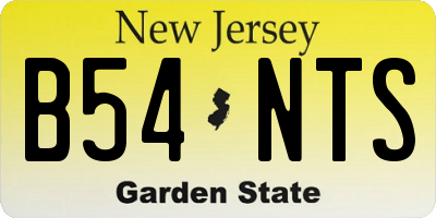 NJ license plate B54NTS