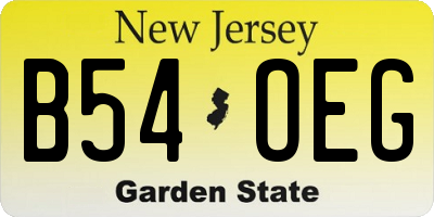 NJ license plate B54OEG