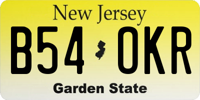 NJ license plate B54OKR
