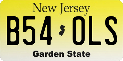 NJ license plate B54OLS