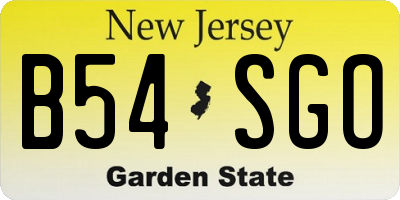 NJ license plate B54SGO