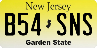 NJ license plate B54SNS