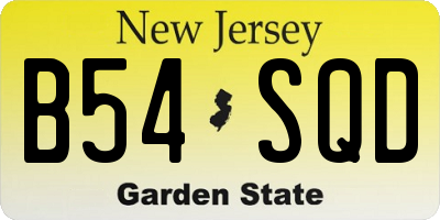 NJ license plate B54SQD