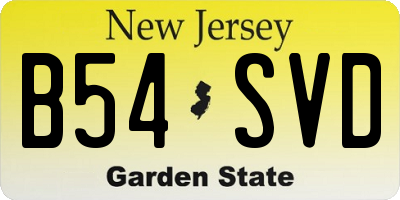 NJ license plate B54SVD