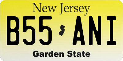 NJ license plate B55ANI