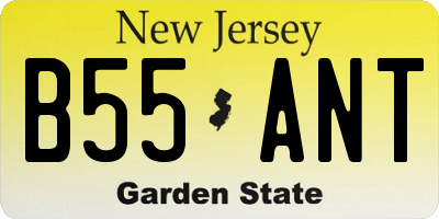 NJ license plate B55ANT