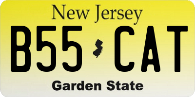 NJ license plate B55CAT