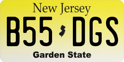 NJ license plate B55DGS