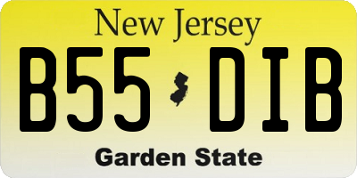 NJ license plate B55DIB