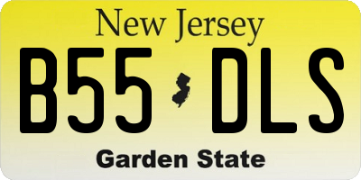 NJ license plate B55DLS