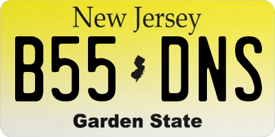 NJ license plate B55DNS