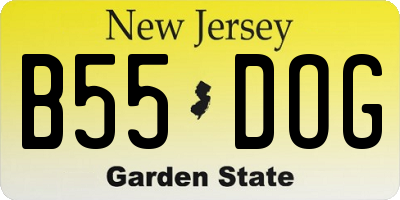 NJ license plate B55DOG