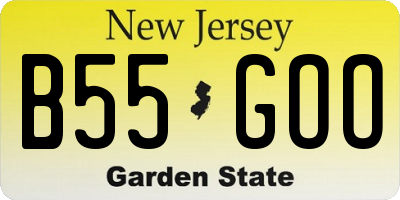 NJ license plate B55GOO