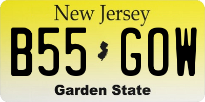 NJ license plate B55GOW
